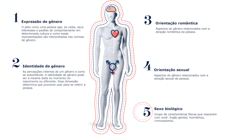 Cinco Dimensoes Da Sexualidade Humana 2017 001 Chilliwiki 5596